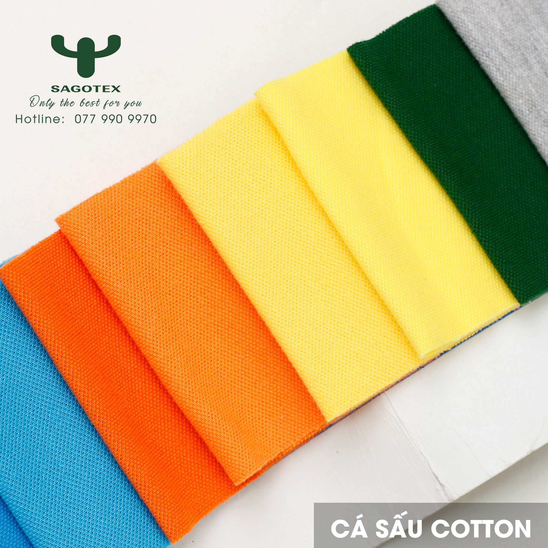cá sấu cotton
